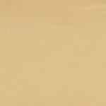 Champán Traslúcido